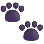 OpenClaw 101